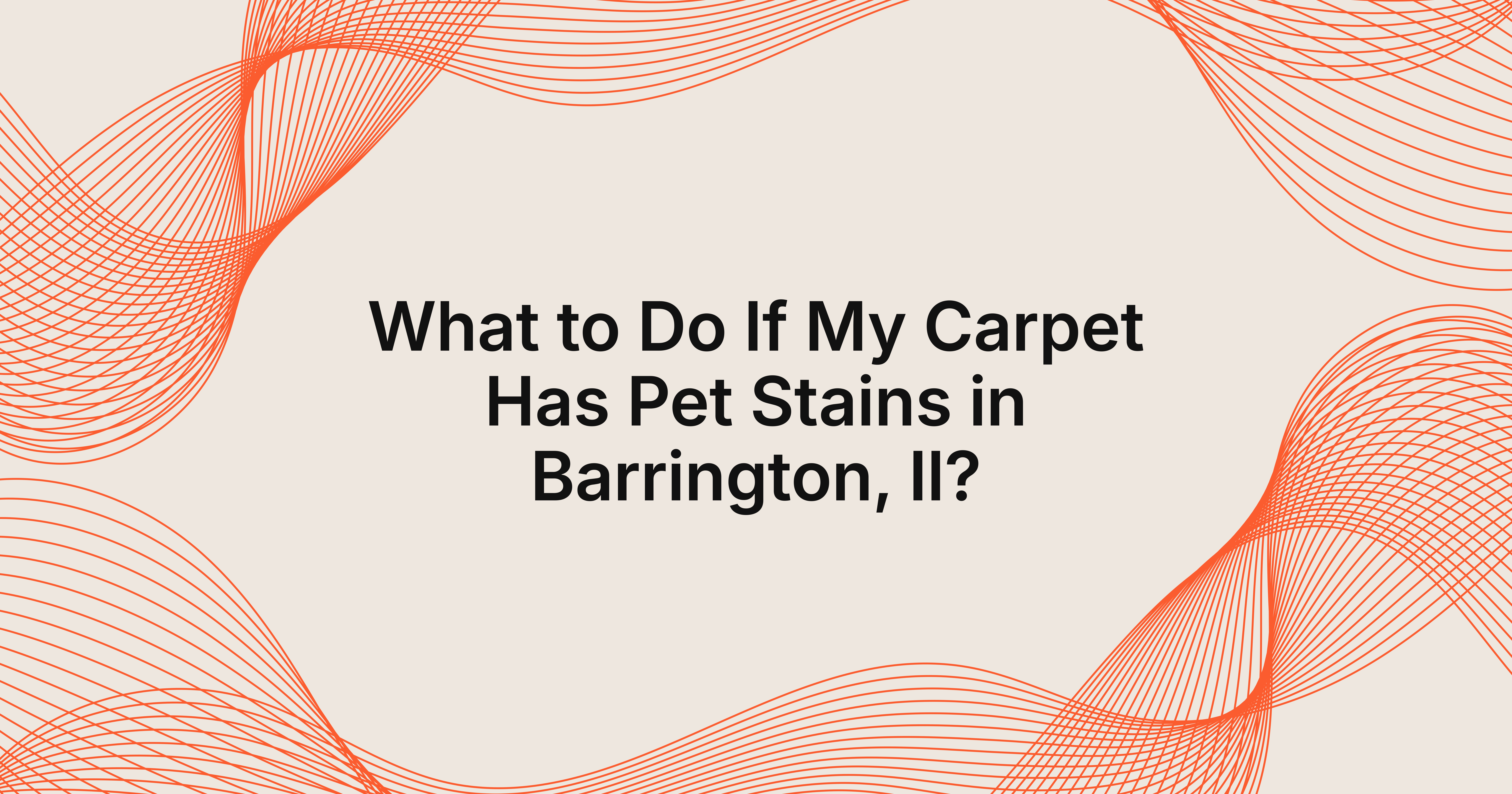 what should I do if my carpet has pet stains in Barrington, IL?
