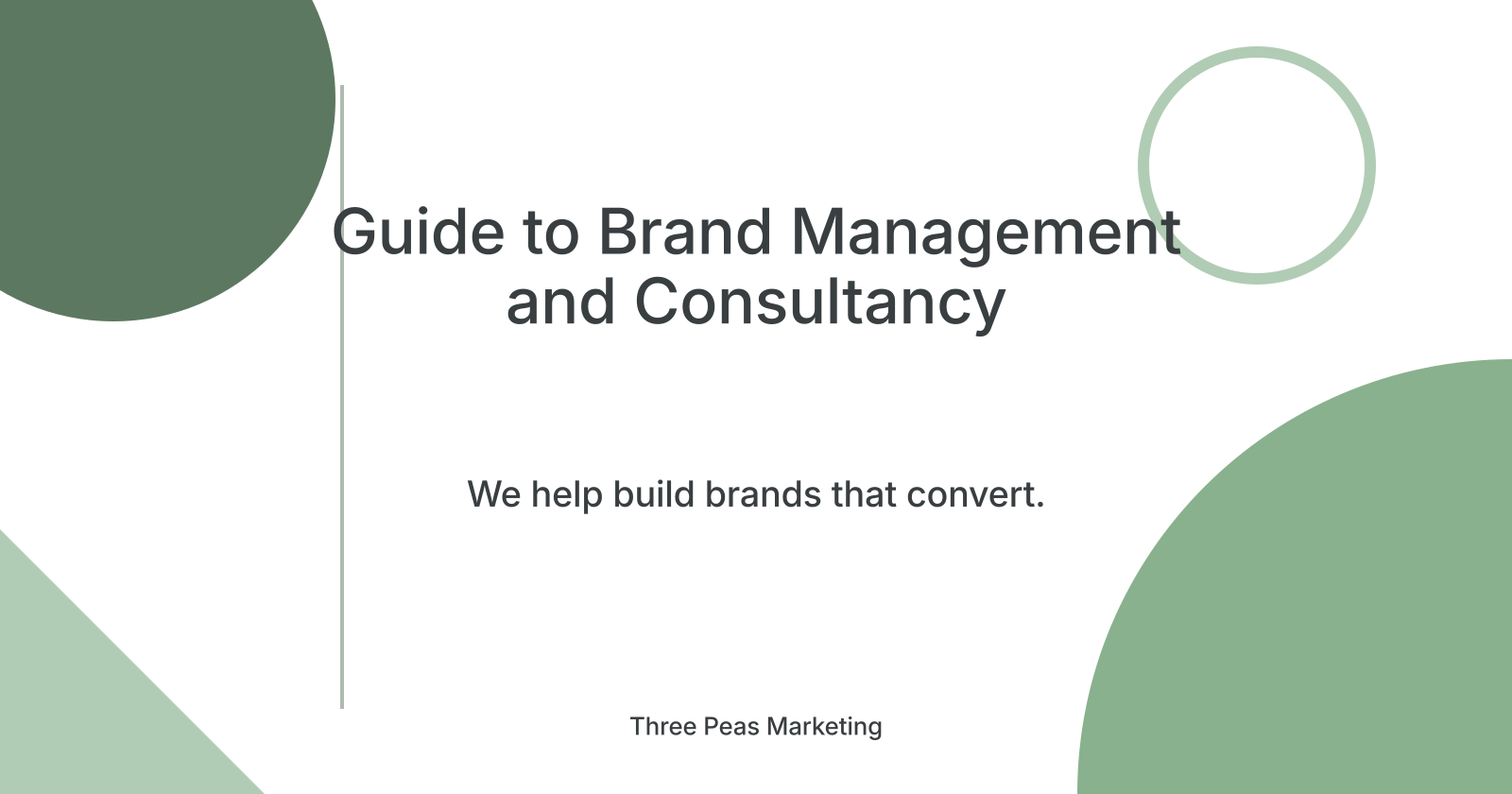 Guide to Brand Management and Consultancy