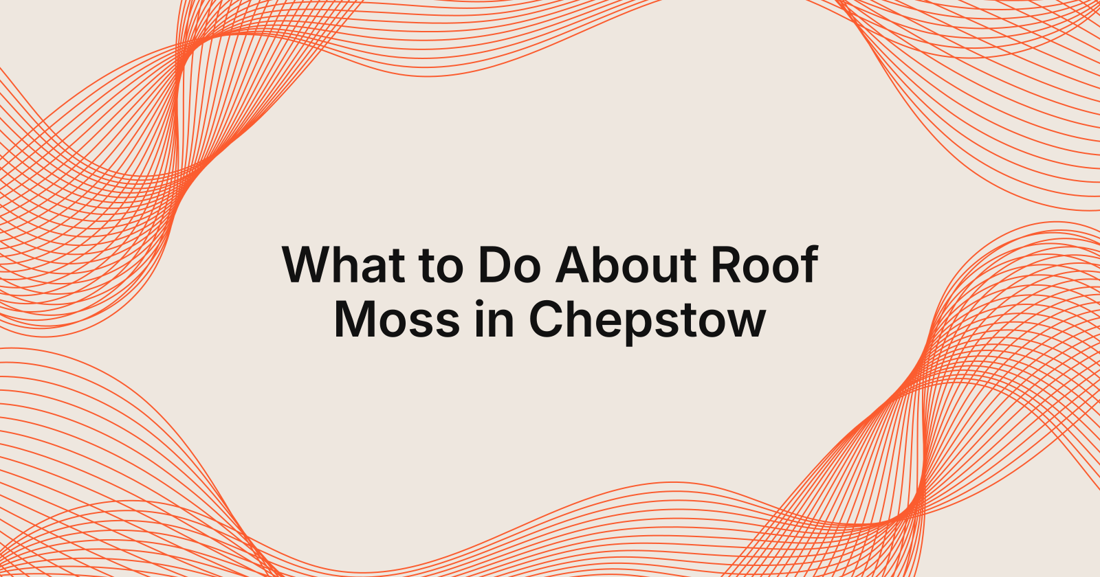 What to Do About Roof Moss in Chepstow, what should I do if my roof has moss in Chepstow?